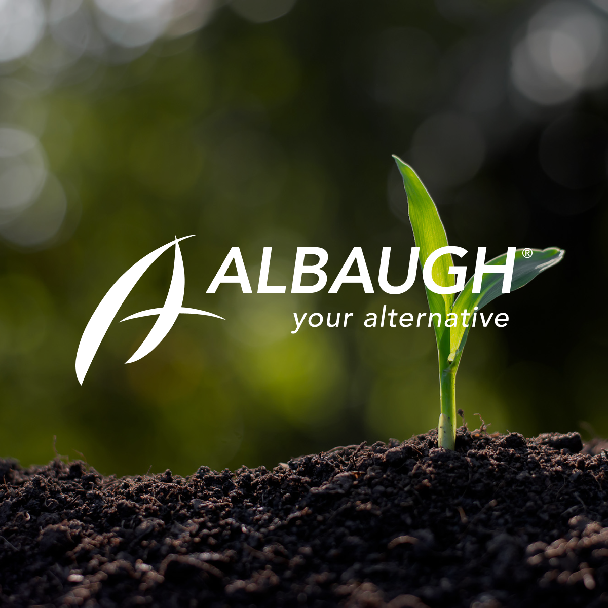 Find out how we helped Albaugh